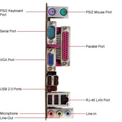 Placa Mãe Asus P5GC-MX Socket LGA 775 DDR2