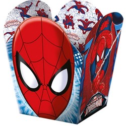 Cachepot Decoração Homem Aranha