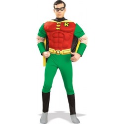 Fantasia Masculina Luxo Robin Festa Halloween Carnaval Cosplay