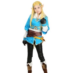 Fantasia Link (zelda) Infanto-juvenil