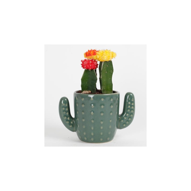 Vasinho para Plantas Suculentas ou Cactus em Formato de Cactus Cerâmica