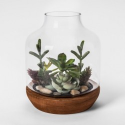 Vasinho para Plantas Suculentas ou Cactus Garrafa Vidro