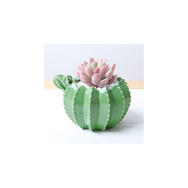 Vasinho para Plantas Suculentas ou Cactus Formato de Cactus