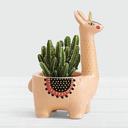 Vasinho Lhama para Plantas Suculentas ou Cactus