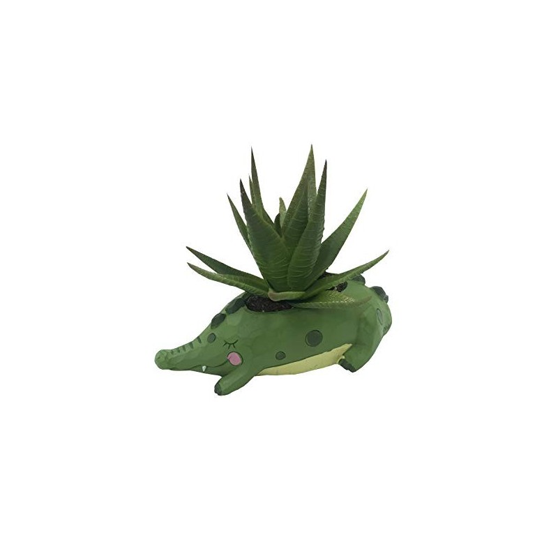 Vasinho Jacaré para Plantas Suculentas ou Cactus