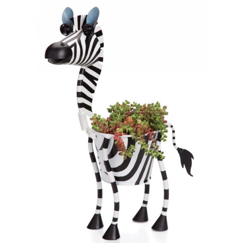 Vasinho Zebra para Plantas Suculentas ou Cactus