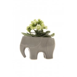 Vaso Cerâmica Formato de Elefante para Plantas Suculentas ou Cactus