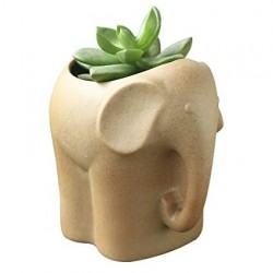 Vaso Fibra de Vidro Formato de Elefante para Plantas Suculentas ou Cactus