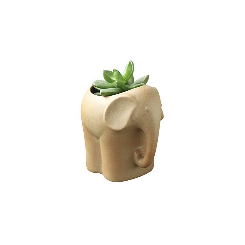 Vaso Fibra de Vidro Formato de Elefante para Plantas Suculentas ou Cactus