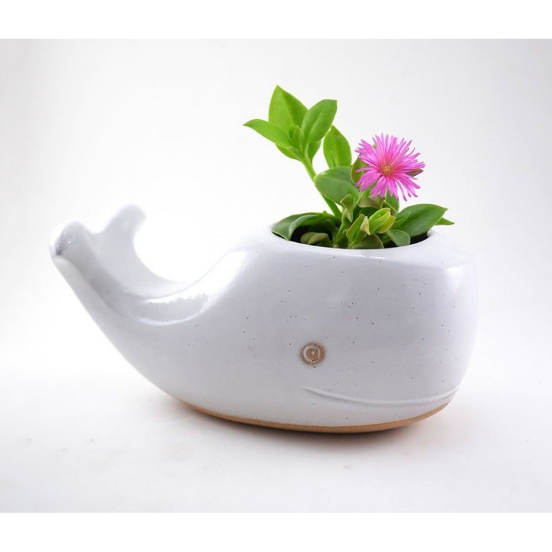 Vaso Cerâmica para Plantas Suculentas ou Cactus Baleia Vaso Cerâmica para Plantas Suculentas ou Cactus Baleia