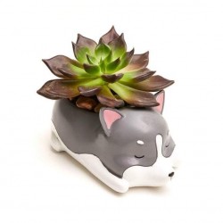 Mini Vaso Cerâmica Gatinho Plantas Suculentas Cactus