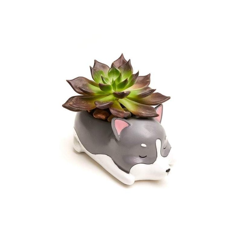 Mini Vaso Cerâmica Gatinho Plantas Suculentas Cactus