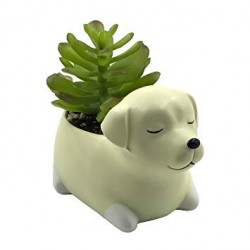 Vaso Porcelana Formato de Cachorro Branco  para Plantas Suculentas Cactus