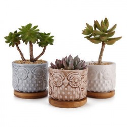 Kit Mini Vasos Decorativos Coruja Suculentas ou Cactus Cerâmica