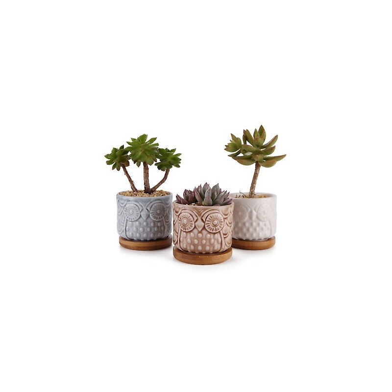 Kit Mini Vasos Decorativos Coruja Suculentas ou Cactus Cerâmica