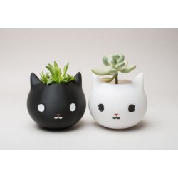 Kit Mini Vasos Decorativos Gatinhos Suculentas ou Cactus Cerâmica