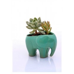 Mini Vaso Cerâmica Formato Elefante Verde para Plantas Suculentas e Cactus