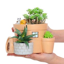 Mini Vaso Cerâmica Formato Cabana para Plantas Suculentas e Cactus