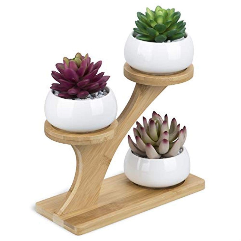 Suporte Bamboo para 3 Mini Vasinho de Plantas Suculentas Cactus