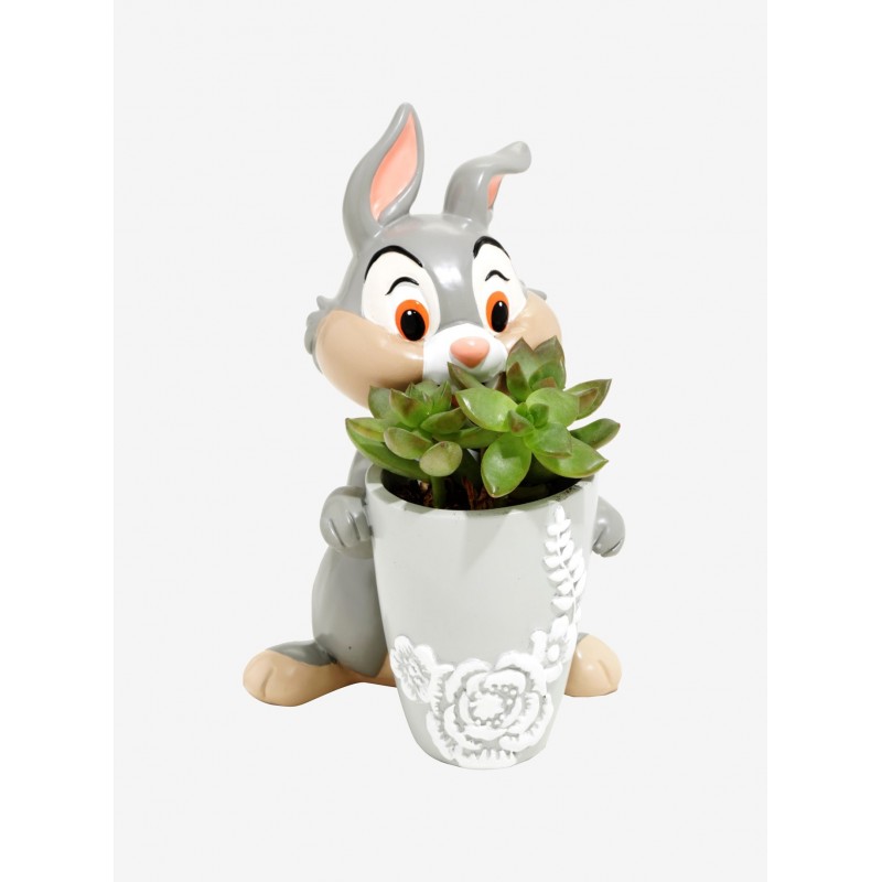 Mini Vaso de Plantas Suculentas Cactus Formato Coelho