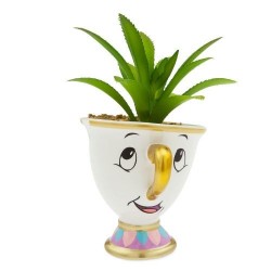 Mini Vaso de Plantas Suculentas Cactus Formato Xícara Disney