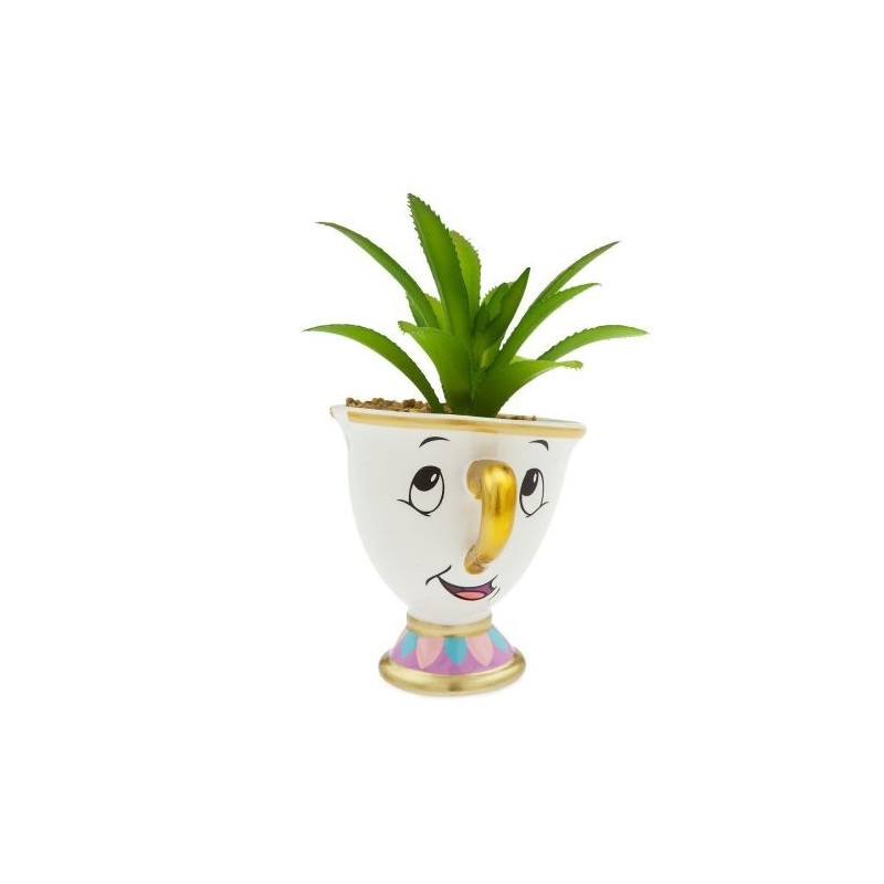 Mini Vaso de Plantas Suculentas Cactus Formato Xícara Disney