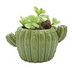 Vaso para Suculenta e Cactus Formato de Cactus Verde Cerâmica