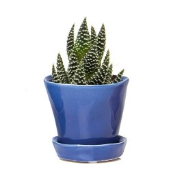 Vaso Cerâmica Azul para Plantas Suculentas e Cactus Flores