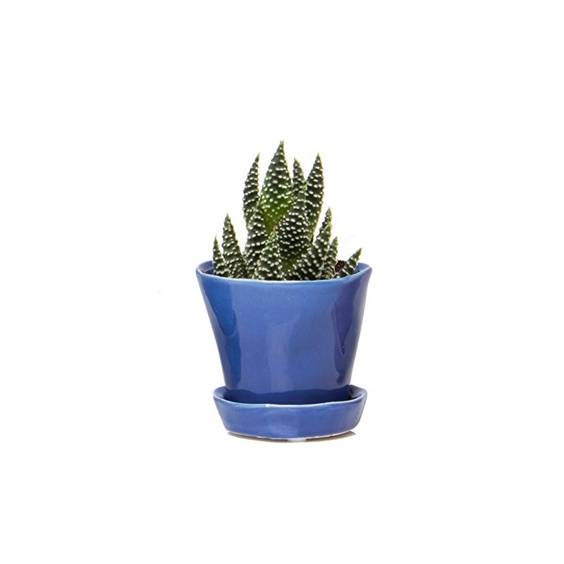 Vaso Cerâmica Azul para Plantas Suculentas e Cactos Flores
