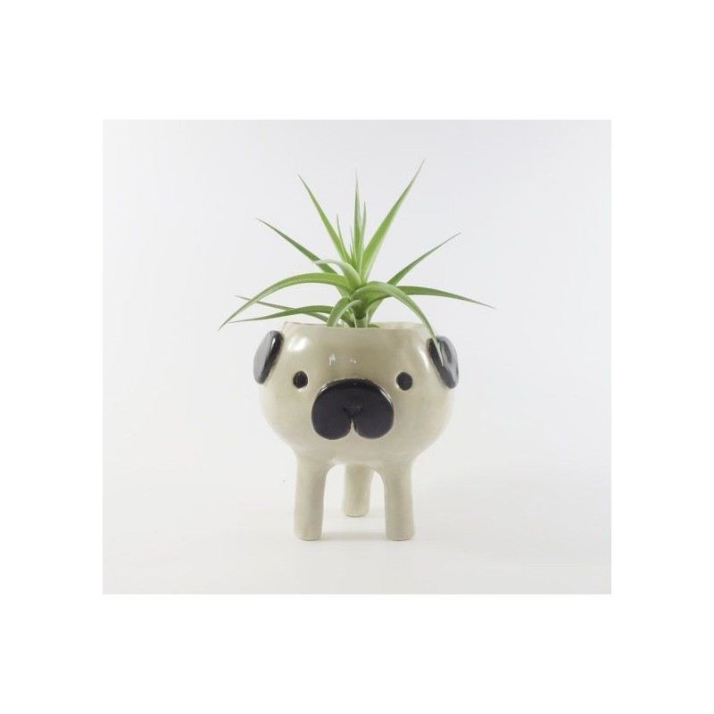 Vaso para Suculentas, Flores e Cactus Cachorro Pug Bichinhos