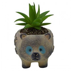 Vaso Formato de um Simpático Urso para Suculentas e Cactus 