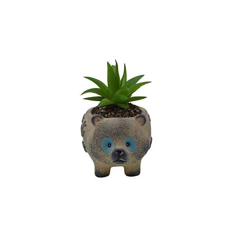 Vaso Formato de um Simpático Urso para Suculentas e Cactus 