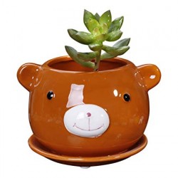 Vaso Formato de Urso em Cerâmica para Suculentas e Cactus 