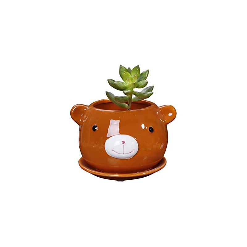 Vaso Formato de Urso em Cerâmica para Suculentas e Cactus 