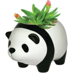 Vaso Formato de Urso Panda em Cerâmica para Suculentas e Cactus 