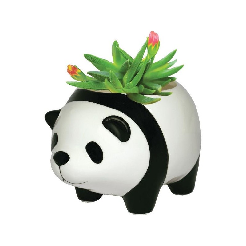 Vaso Formato de Urso Panda em Cerâmica para Suculentas e Cactus 