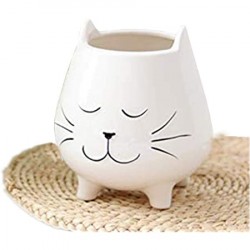 Vaso gatinho branco...