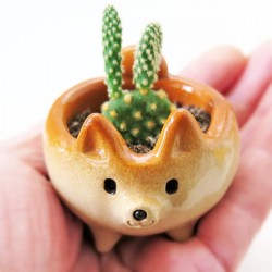 Vaso mini cãozinho cerâmica...