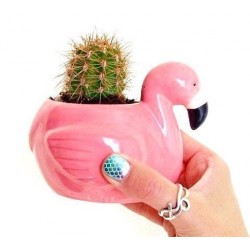 Vaso cachepot flamingo para...