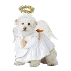 Fantasia de anjo para Pets...