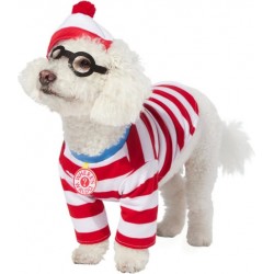 Fantasia para cães de Wally...
