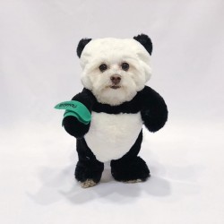 Fantasia de ursinho panda...
