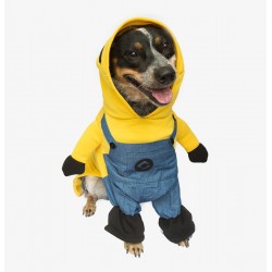 Fantasia para cães Minions...